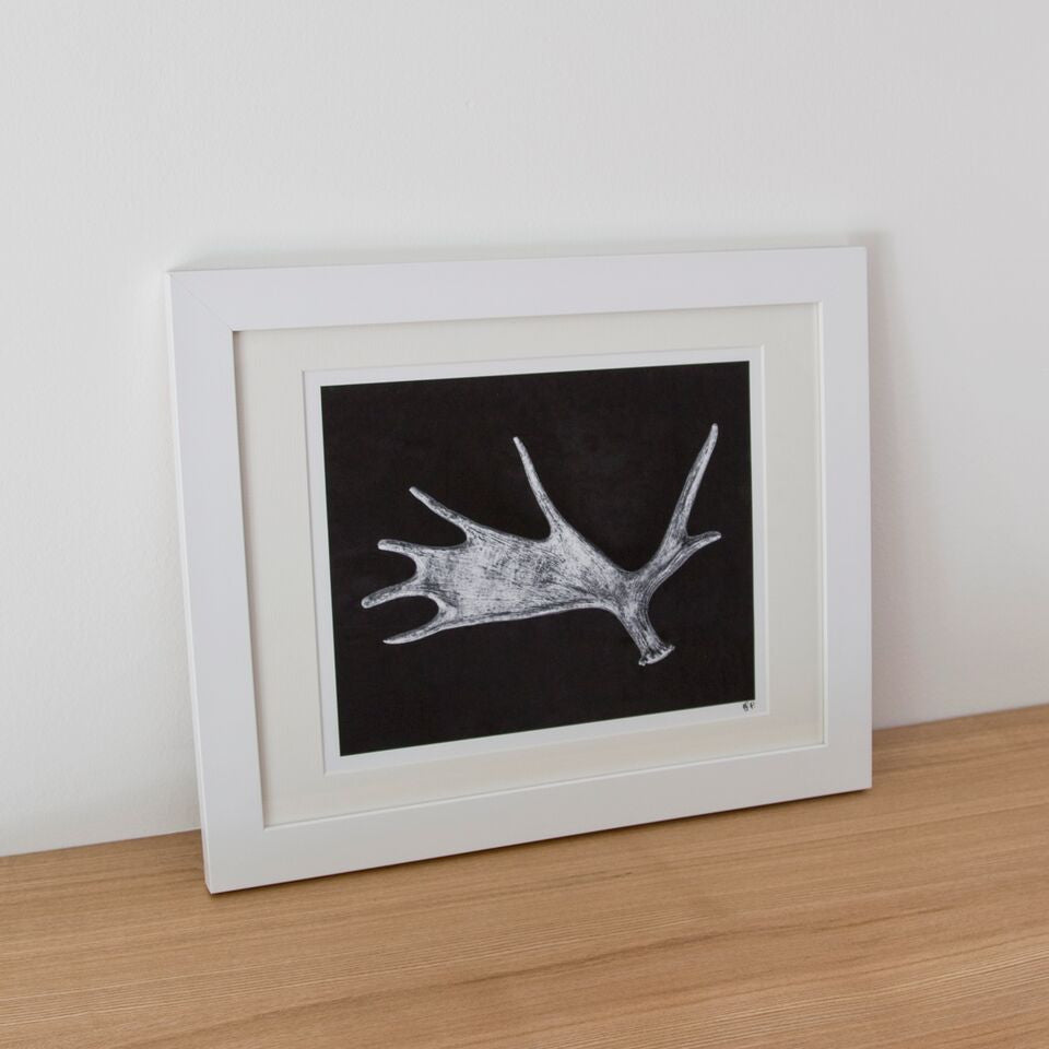 Framed Photograph - Antler