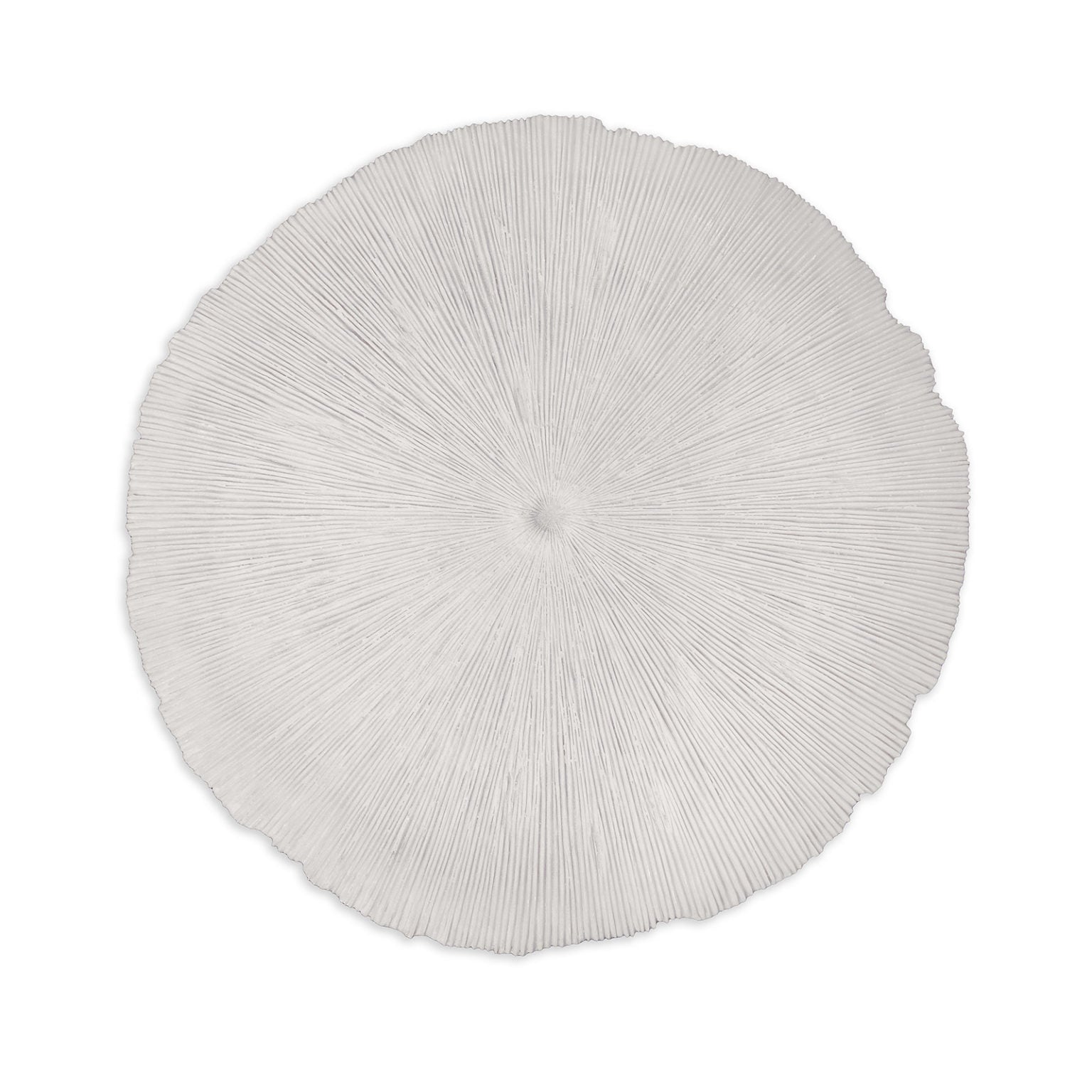 Sand Dollar - Large