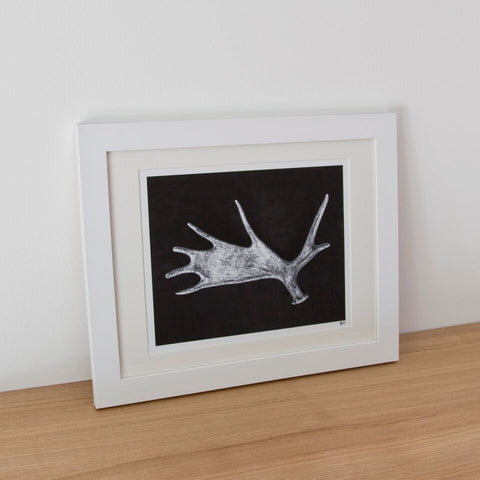 Framed Photograph - Antler