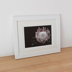 Framed Photograph - Flower