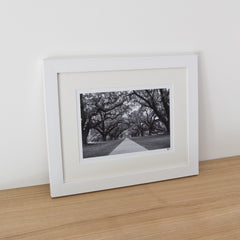 Framed Photograph - Oaks